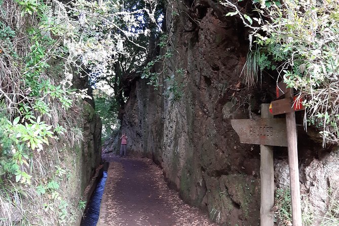Madeira: Private 1.5-Kilometer Levada dos Balcões Hike PR11 - Private pickup around Funchal and across the island, less time in transit