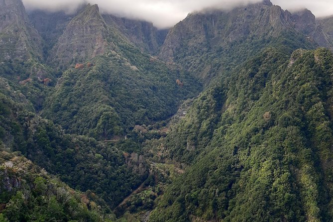 Madeira: Private 1.5-Kilometer Levada dos Balcões Hike PR11 - Optional lunch after the walk, when it’s worth the add-on