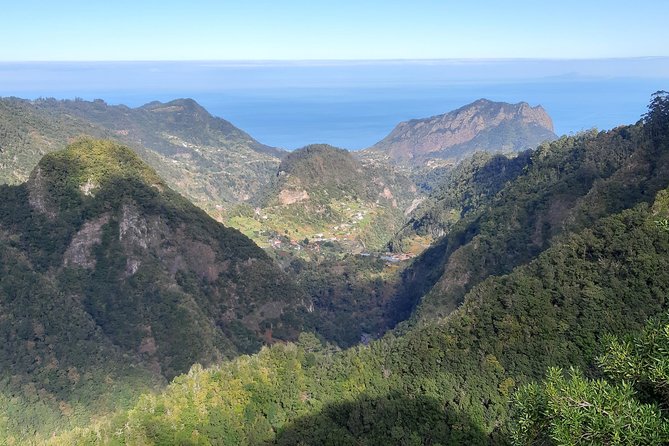 Madeira: Private 1.5-Kilometer Levada dos Balcões Hike PR11 - UNESCO laurel forest and the levada system, why the guide changes everything