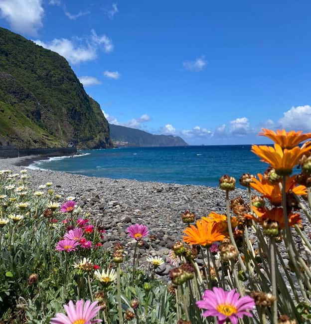 Madeira private 4x4 tour: North-East Coast - São Jorge coastal cliffs and traditional honey production