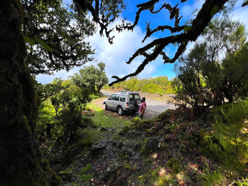 Madeira private 4x4 tour: North-West Coast - Key highlights you will actually feel on the day