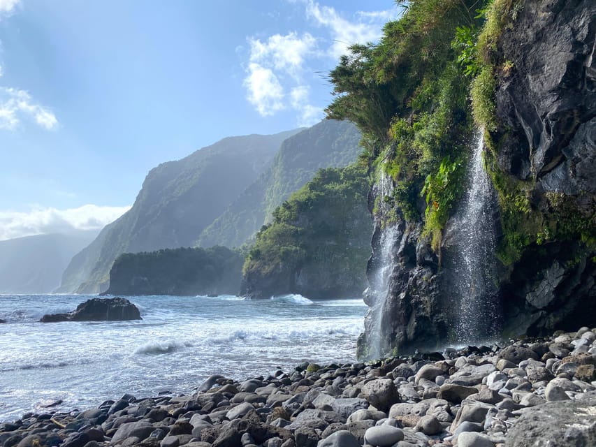 Madeira private 4x4 tour: North-West Coast - Fanal Forest’s ancient laurel trees and misty photo mood