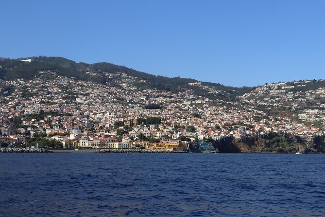 Madeira Private Boat Tour from Funchal - Garajau natural reserve on the East route