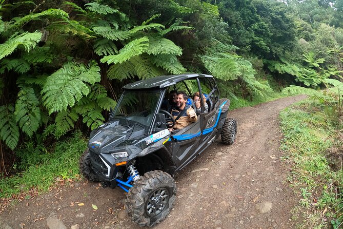 Madeira Private Buggy Adventure: Forest and Mountains - Polaris RZR XP 1000: the “how it feels” part