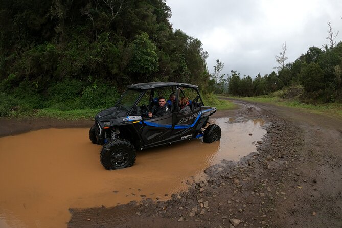 Madeira Private Buggy Adventure: Forest and Mountains - Roberto’s guiding style: safety with personality