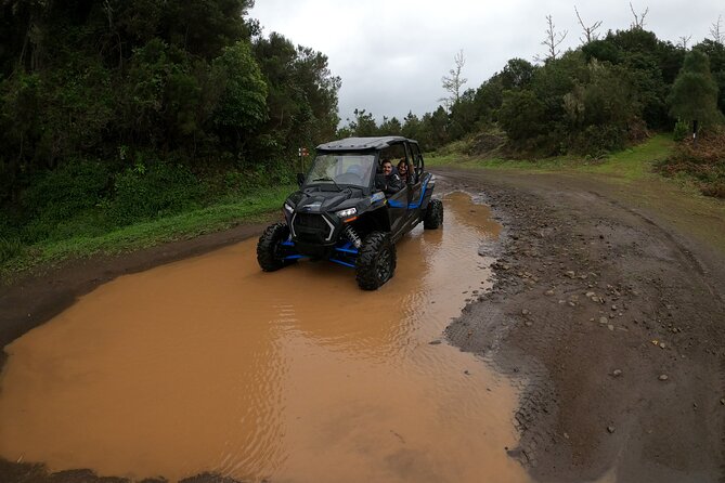 Madeira Private Buggy Adventure: Forest and Mountains - GoPro photos and videos included: instant memories, no fuss