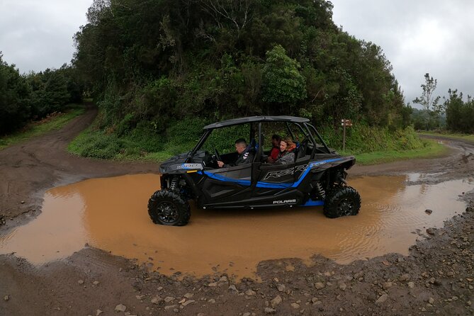 Madeira Private Buggy Adventure: Forest and Mountains - Price and value: $111.02 for a private 4-hour adventure