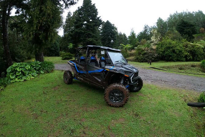 Madeira Private Buggy Adventure: Forest and Mountains - Logistics that matter, without the boring parts