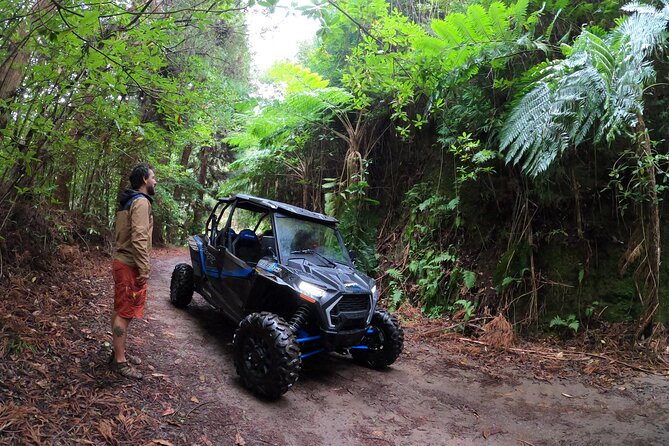 Madeira Private Buggy Adventure: Forest and Mountains - On-road meets off-road near Funchal: views, clouds, and mud