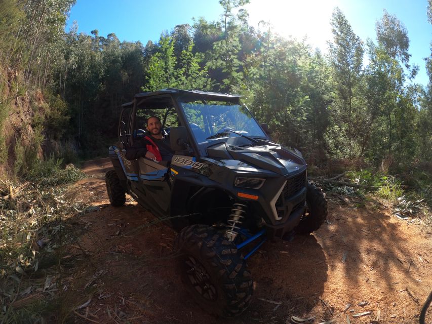 Madeira Private Buggy Adventure: Mountains and Forests - Key Highlights You’ll Feel Immediately