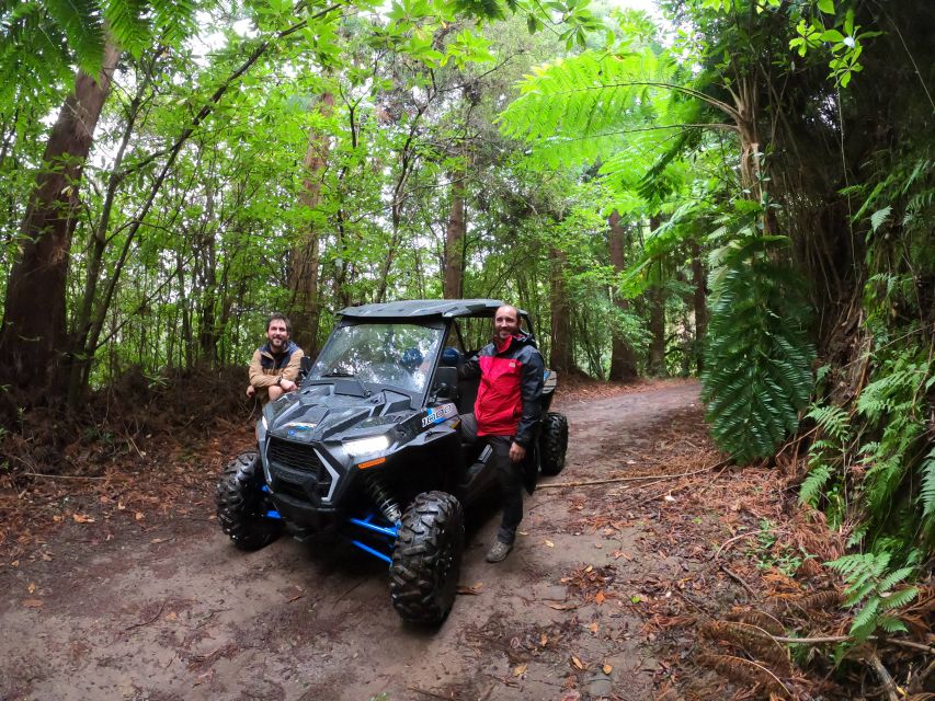 Madeira Private Buggy Adventure: Mountains and Forests - Who Should Book This Off-Road Adventure (And Who Should Skip It)