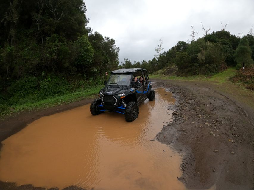 Madeira Private Buggy Adventure: Mountains and Forests - Why This Madeira Buggy Tour Feels Like Two Adventures in One