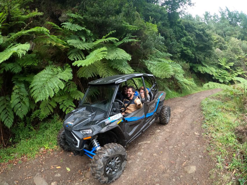 Madeira Private Buggy Adventure: Mountains and Forests - The Mountain Viewpoints Route: Pico Alto, Poiso, and Pico do Suna