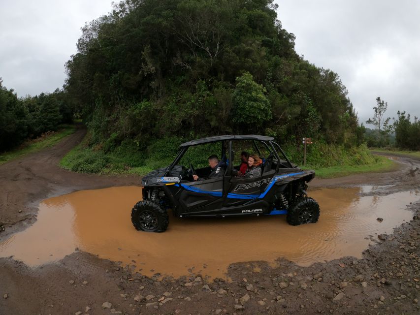 Madeira Private Buggy Adventure: Mountains and Forests - Lamaceiros Lagoon and Portela Viewpoint: Porto da Cruz and Faial in Sight