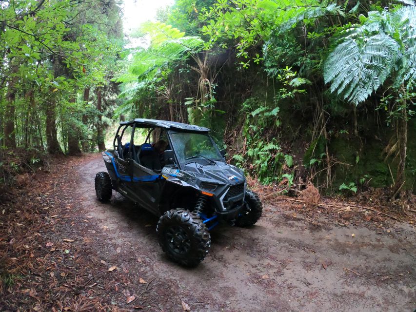 Madeira Private Buggy Adventure: Mountains and Forests - Serra das Funduras and the Laurissilva Forest Trail