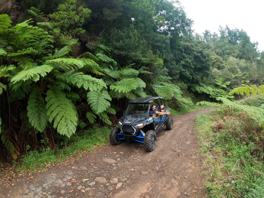 Madeira Private Buggy Adventure: Mountains and Forests - Driving, Riding, and How the Guide Keeps It Fun and Safe