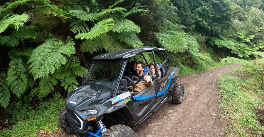 Madeira Private Buggy Adventure: Mountains and Forests - What’s Included (And Why the GoPro Media Is More Valuable Than It Sounds)