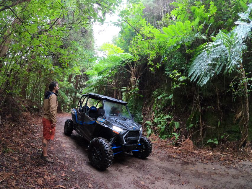 Madeira Private Buggy Adventure: Mountains and Forests - Price and Value: Is $212 Worth It for Your Group?