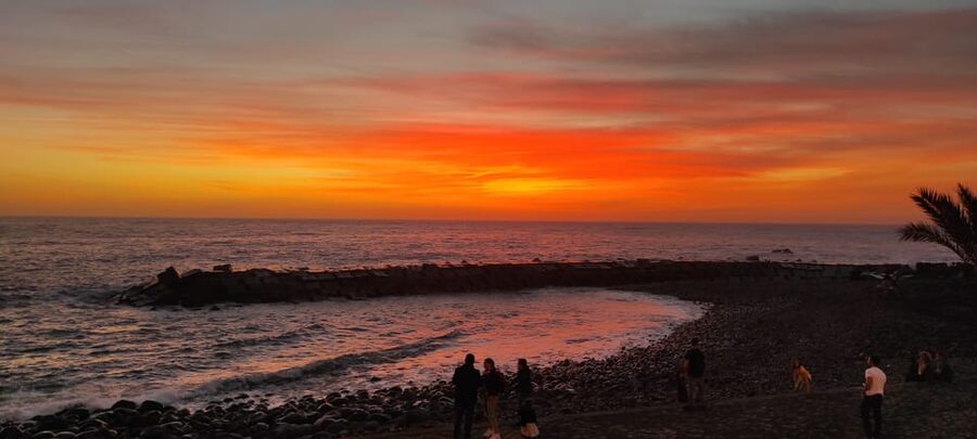 Madeira: Private Full-Day 4x4 Tour with Hotel Pickup - Price and value: what you’re really paying for