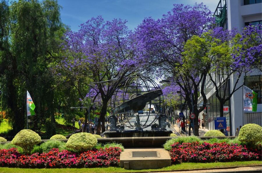 Madeira: Private Funchal City Tour in a Tukxi - Socorro and Villa Guida viewpoints: where Funchal suddenly looks huge