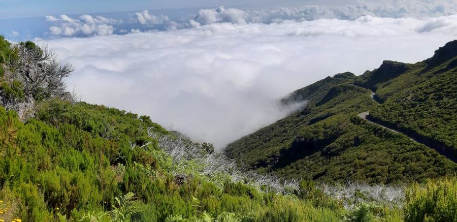 Madeira: Private Guided Achadas Teixeira - Pico Ruivo PR1.1 - Where the day starts: pier pickup or hotel pickup in Madeira