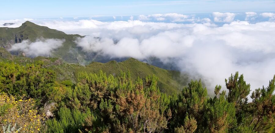 Madeira: Private Guided Achadas Teixeira - Pico Ruivo PR1.1 - Who should book this tour?