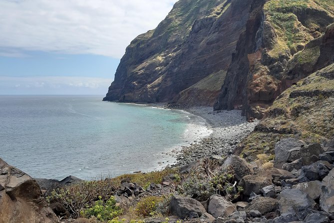 Madeira: Private Guided Half-Day Tour of Northwest Madeira - Chão da Ribeira and Laurisilva, Madeira’s big laurel-forest clue