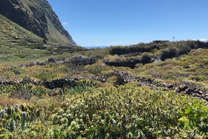Madeira: Private Guided Half-Day Tour of Northwest Madeira - Private guide value and the pacing that keeps it enjoyable