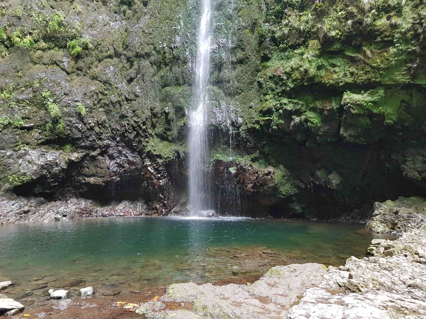 Madeira: Private Guided Levada Caldeirão Verde Walk PR9 - Meeting at Funchal: Cruise Port Pier Pickup Without the Hassle