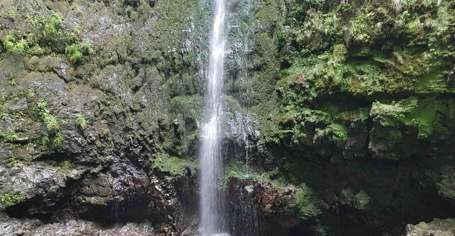 Madeira: Private Guided Levada Caldeirão Verde Walk PR9 - Tunnels and Flashlight Time, What You Need for a Smooth Day