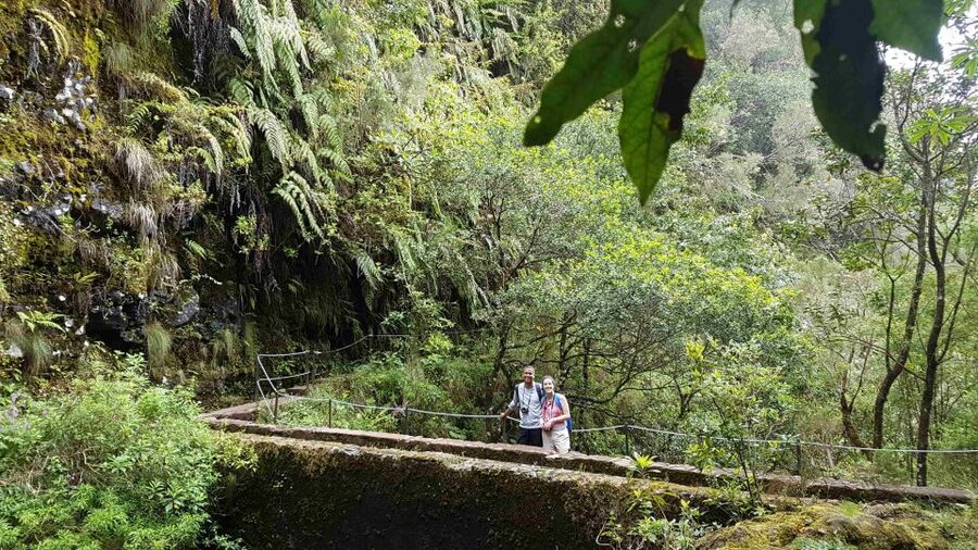 Madeira: Private Guided Levada Caldeirão Verde Walk PR9 - Should You Book This Private Caldeirão Verde Walk?