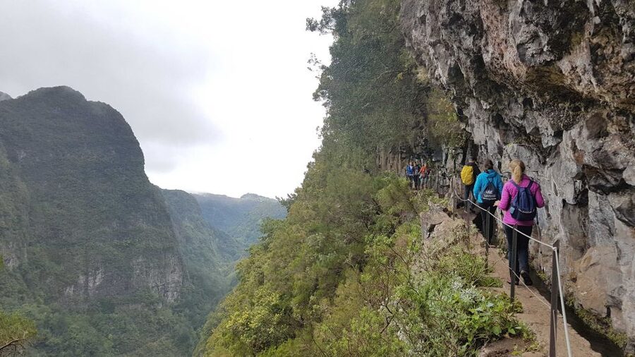 Madeira: Private Guided Levada Caldeirão Verde Walk PR9 - Queimadas to the Waterfall: How the 12 Kilometers Actually Builds