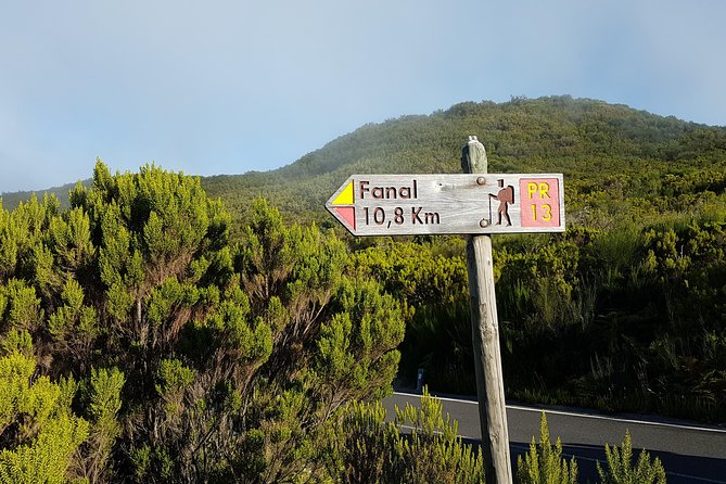 Madeira: Private Guided Walk Vereda Fanal PR13 - Key things that make Vereda Fanal PR13 worth your time