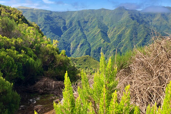 Madeira: Private Guided Walk Vereda Fanal PR13 - Why a private guide matters here (Richard’s role)