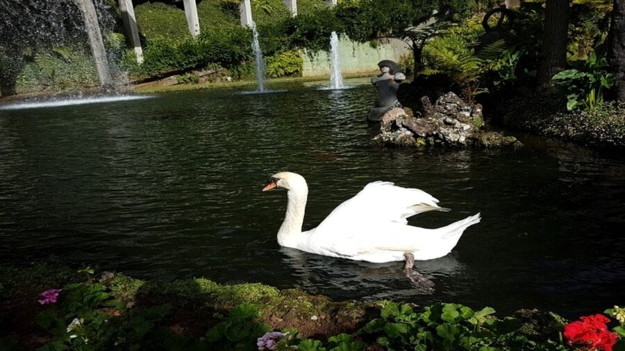 Madeira: Private Half-Day Guided Gardens Tour - Key things to know before you go