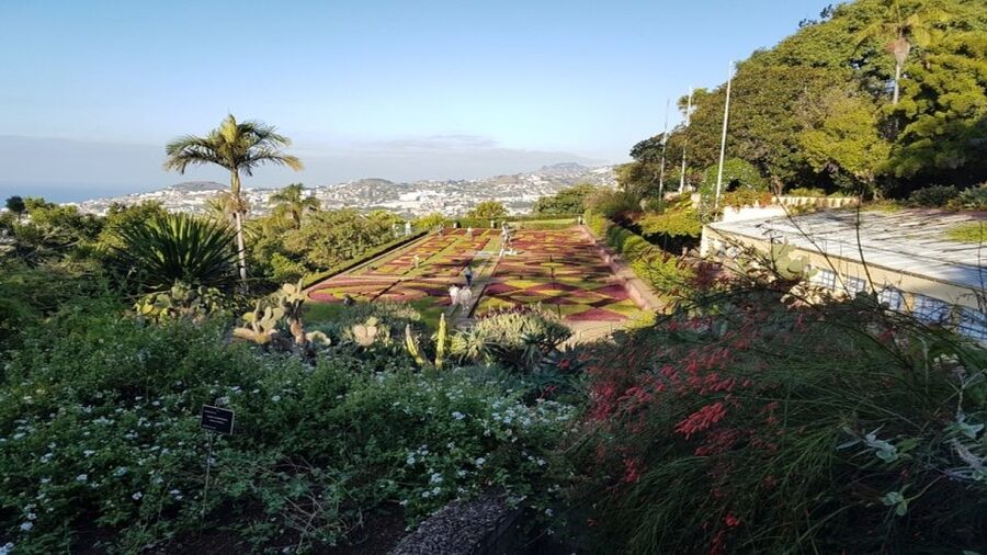 Madeira: Private Half-Day Guided Gardens Tour - Madeira gardens that feel like a living museum