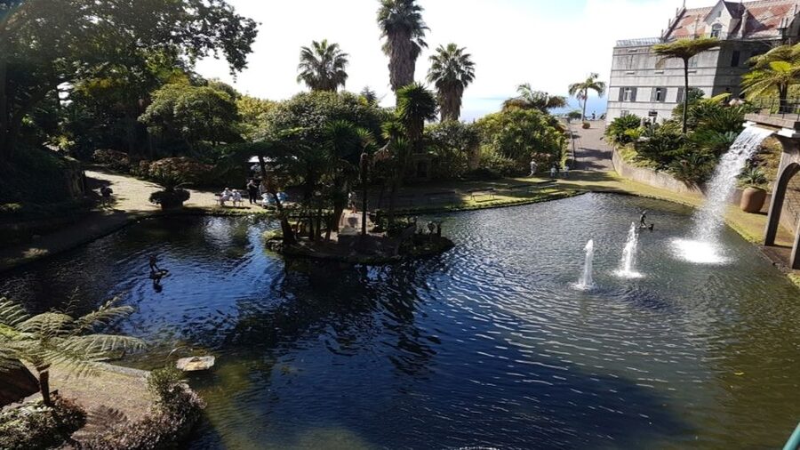 Madeira: Private Half-Day Guided Gardens Tour - Monte Palace Tropical Garden: a 70,000-square-meter walk with personality