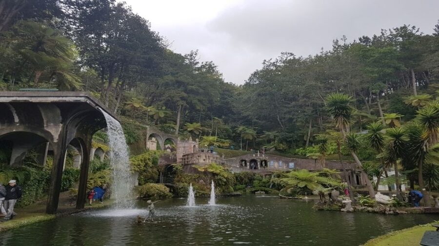 Madeira: Private Half-Day Guided Gardens Tour - The palace museum for minerals and gems (yes, really)