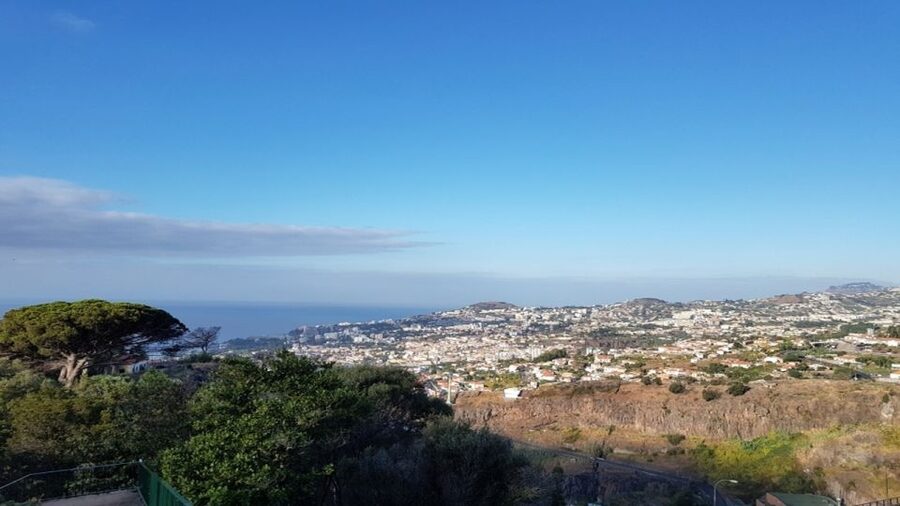 Madeira: Private Half-Day Guided Gardens Tour - Price and value: what you get for about 129 USD