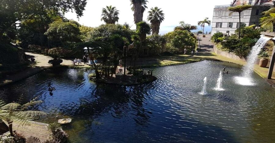 Madeira: Private Half-Day Guided Gardens Tour - Getting picked up in Funchal without stressing the clock