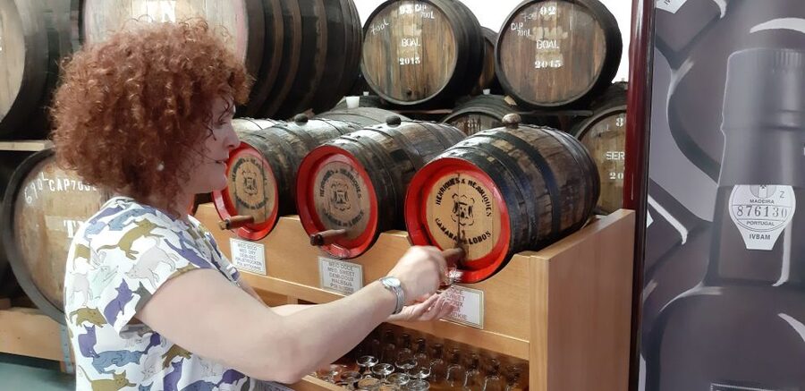 Madeira: Private Half-Day Wine Tasting Tour - Comfort, rules, and the real-life limitations