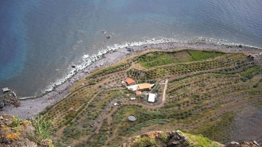 Madeira: Private Half-Day Wine Tasting Tour - Who should book this tour (and who should skip it)