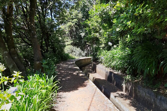 Madeira: Private Laurisilva Tour - Serra de Água: Hydro Power and the Human Side of Water