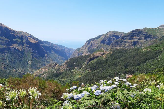 Madeira: Private Laurisilva Tour - What You Learn About Levada Work (and Why It Matters)