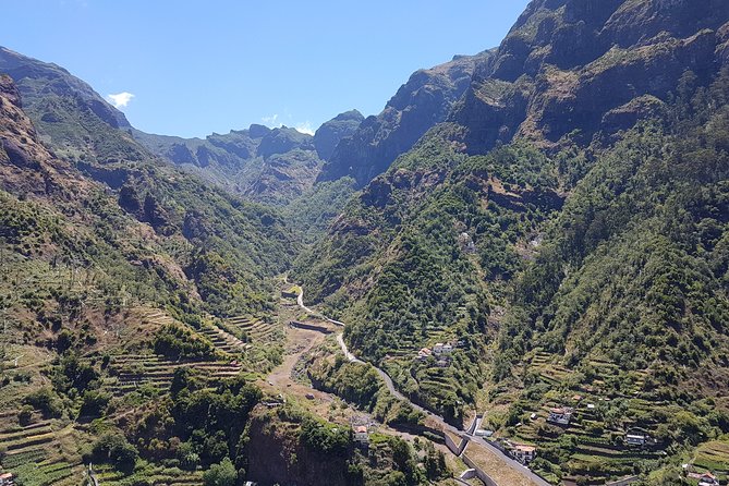 Madeira: Private Laurisilva Tour - Price and Value: $139.63 for Up to 4