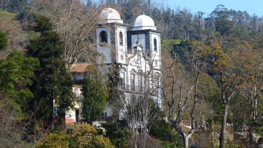 Madeira: Private Monte tour on a Tukxi - Guide personality matters more than you think