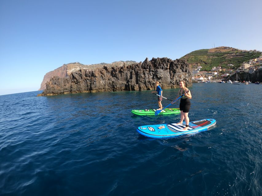 Madeira: Private Paddleboard & Snorkel - Key Points at a Glance