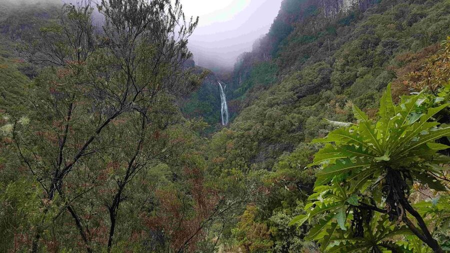 Madeira: Private Walking Tour of Levada das 25 Fontes PR6 - Getting to Rabaçal: Cruise-Port Pickup and Private-Van Comfort