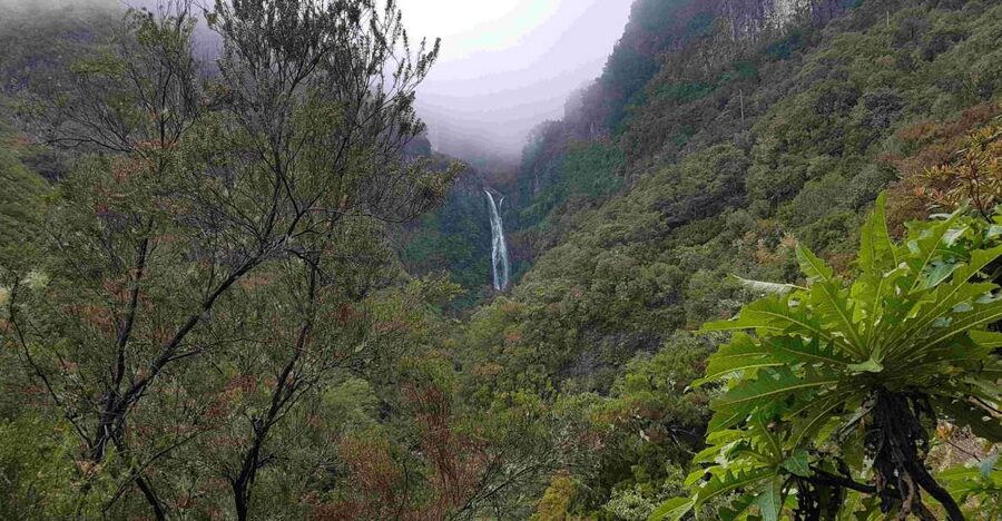 Madeira: Private Walking Tour of Levada das 25 Fontes PR6 - Viewpoints and the Real Rhythm of 5 to 6 Hours