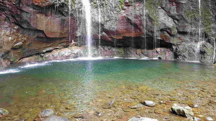 Madeira: Private Walking Tour of Levada das 25 Fontes PR6 - Price and What You Actually Get for About $117